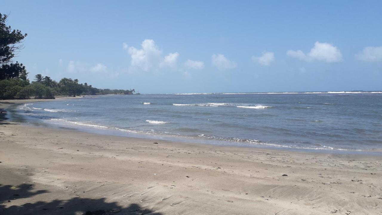Apartamento En Balabeach Maria Chiquita In Front Of The Beach 2Hab 科隆 外观 照片