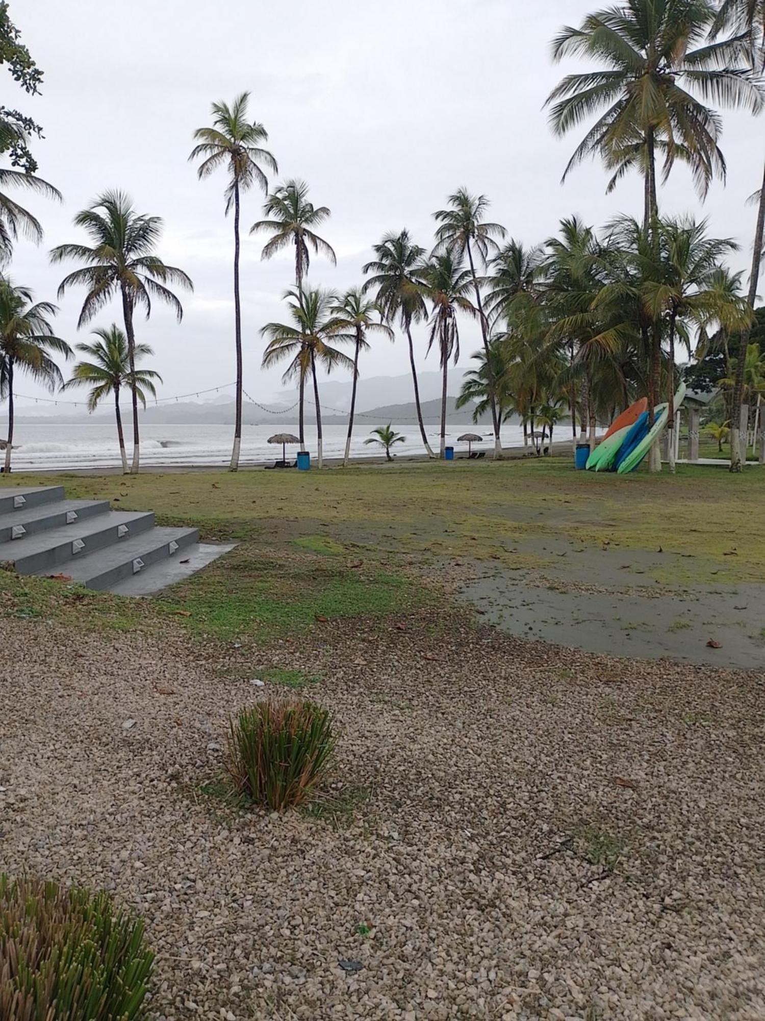 Apartamento En Balabeach Maria Chiquita In Front Of The Beach 2Hab 科隆 客房 照片