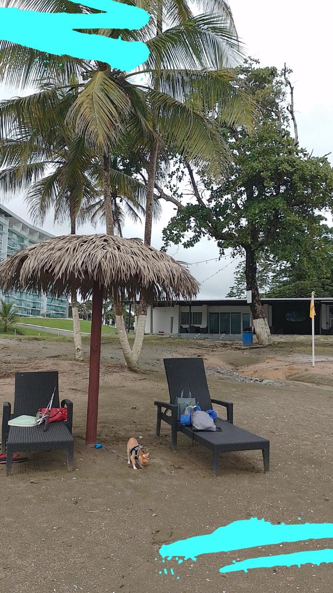 Apartamento En Balabeach Maria Chiquita In Front Of The Beach 2Hab 科隆 客房 照片