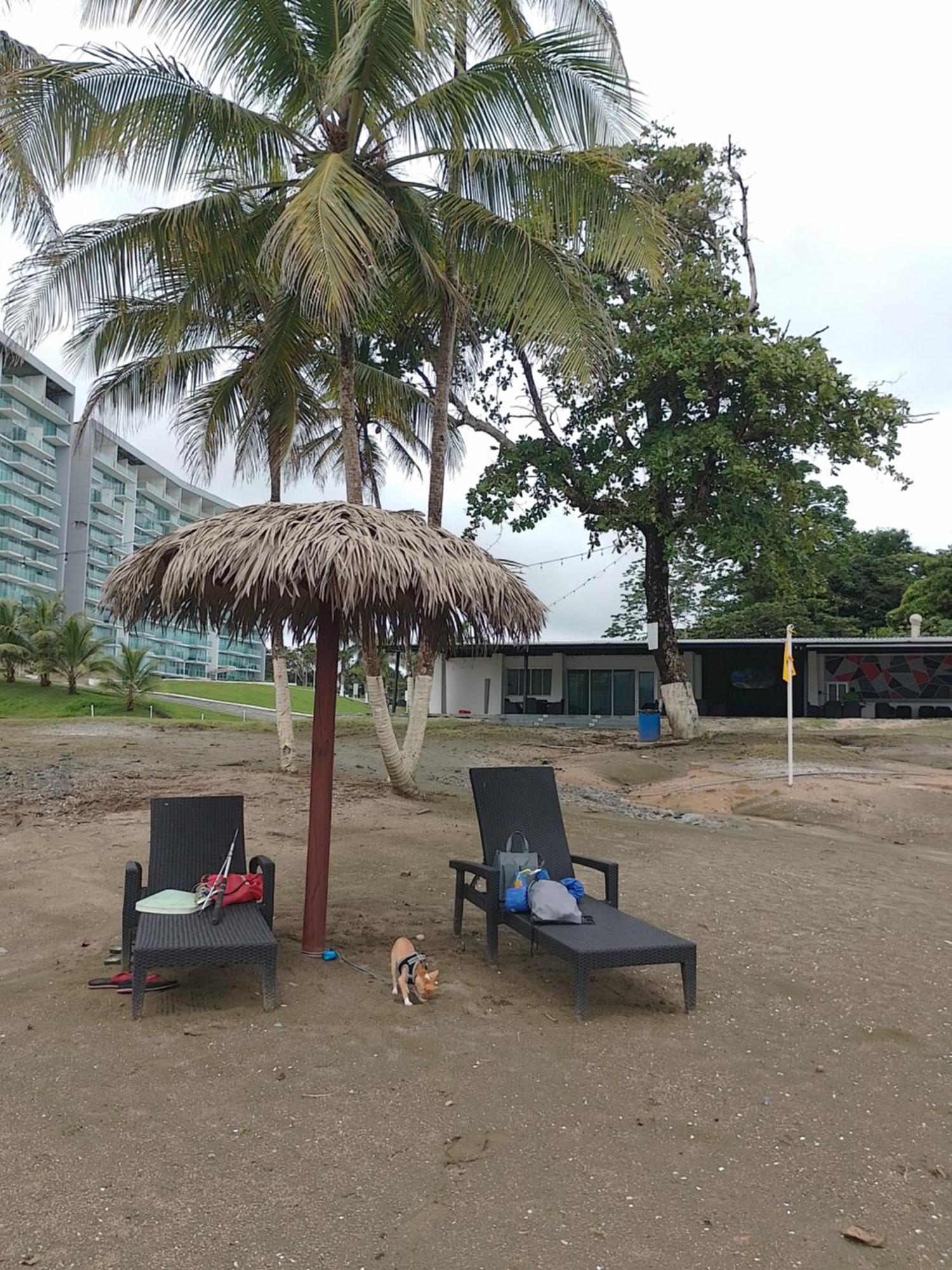 Apartamento En Balabeach Maria Chiquita In Front Of The Beach 2Hab 科隆 客房 照片