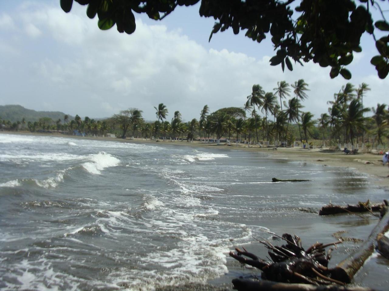 Apartamento En Balabeach Maria Chiquita In Front Of The Beach 2Hab 科隆 外观 照片
