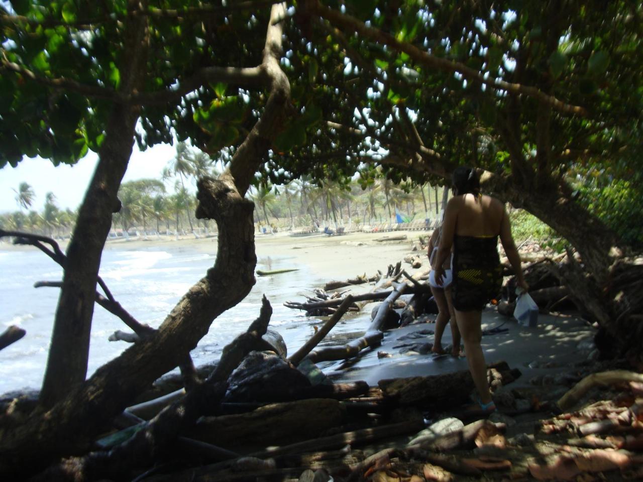 Apartamento En Balabeach Maria Chiquita In Front Of The Beach 2Hab 科隆 外观 照片