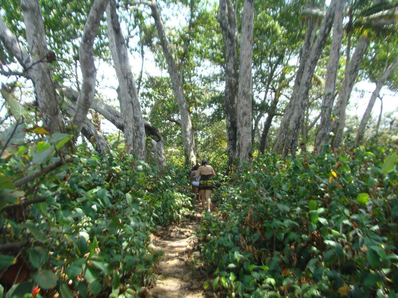 Apartamento En Balabeach Maria Chiquita In Front Of The Beach 2Hab 科隆 外观 照片