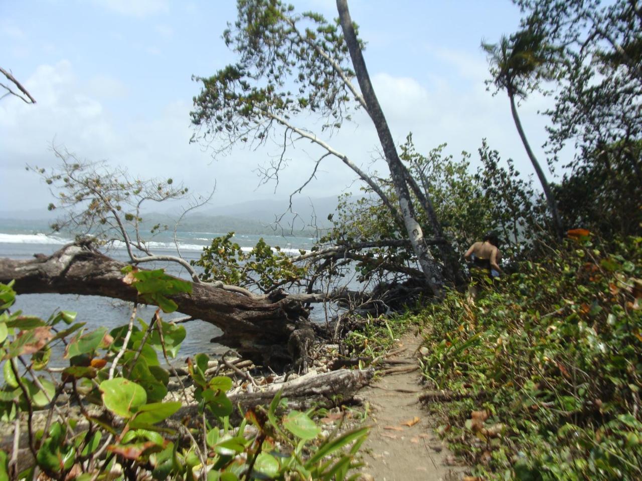 Apartamento En Balabeach Maria Chiquita In Front Of The Beach 2Hab 科隆 外观 照片
