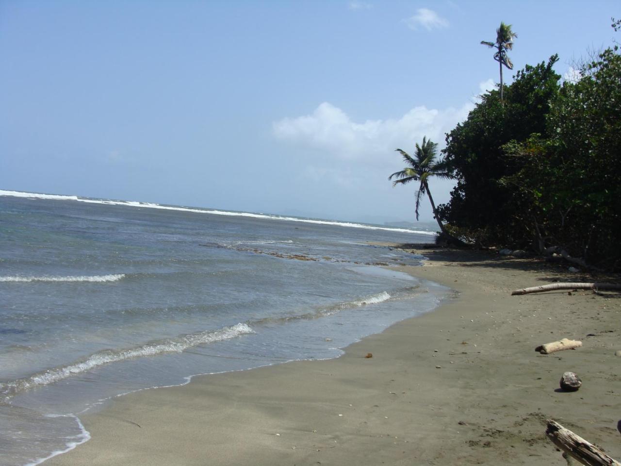 Apartamento En Balabeach Maria Chiquita In Front Of The Beach 2Hab 科隆 外观 照片