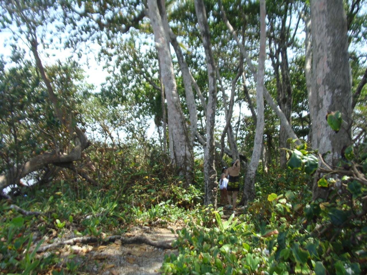 Apartamento En Balabeach Maria Chiquita In Front Of The Beach 2Hab 科隆 外观 照片